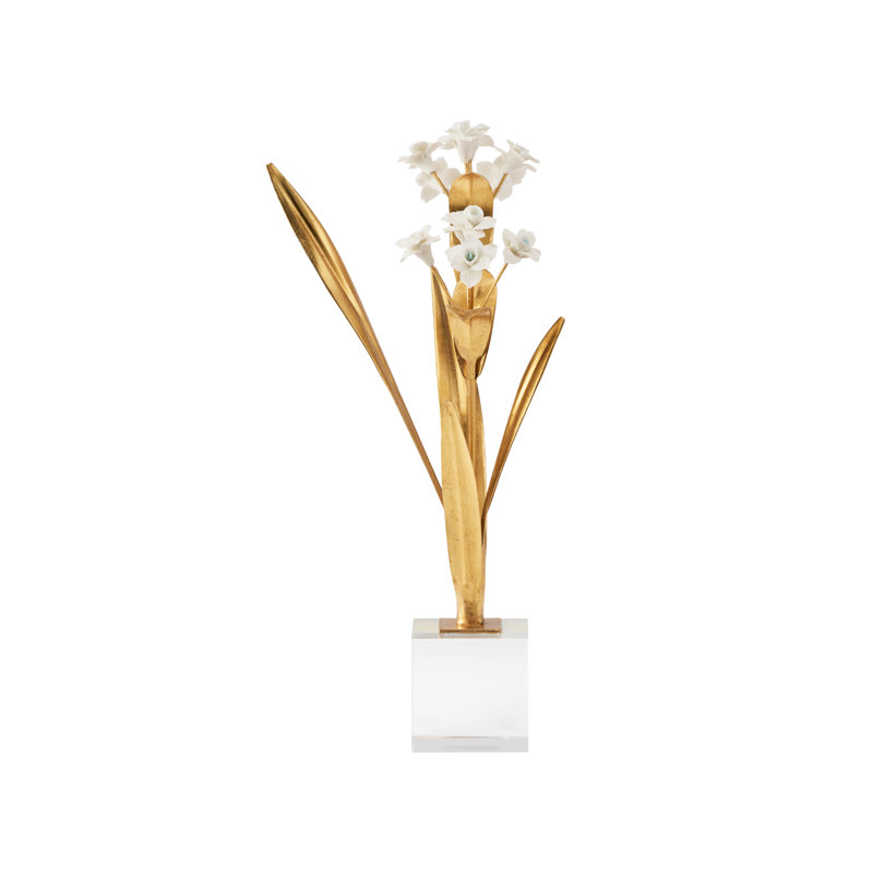 Paperwhite Narcissus