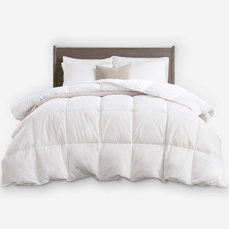  All Season High Fill Power Goose Down Blend Bed Comforter/ 100% Cotton Cover Duvet Insert, Twin