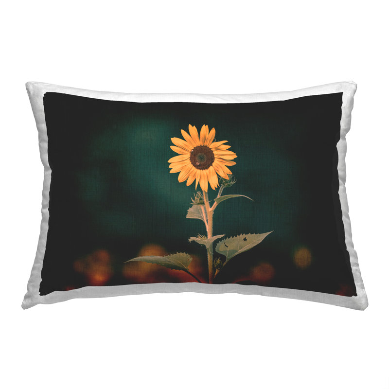  Polyester Throw Pillow