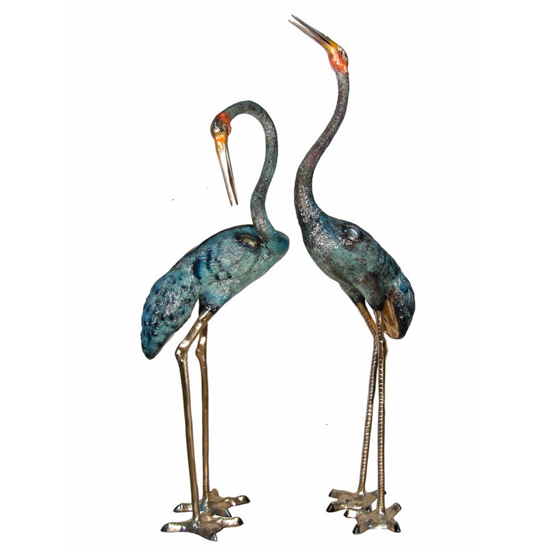 Pelican Edwin