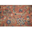 Traditional   Area Rug 10x12