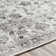 Kucera Oriental Indoor Rug