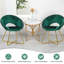 Fauteuil rembourré en velours-27919517