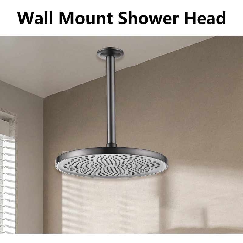 Pomme de douche pluie 2 GPM GPM, Métal industriel