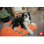 Tapis de cage moelleux-179017578-179017590