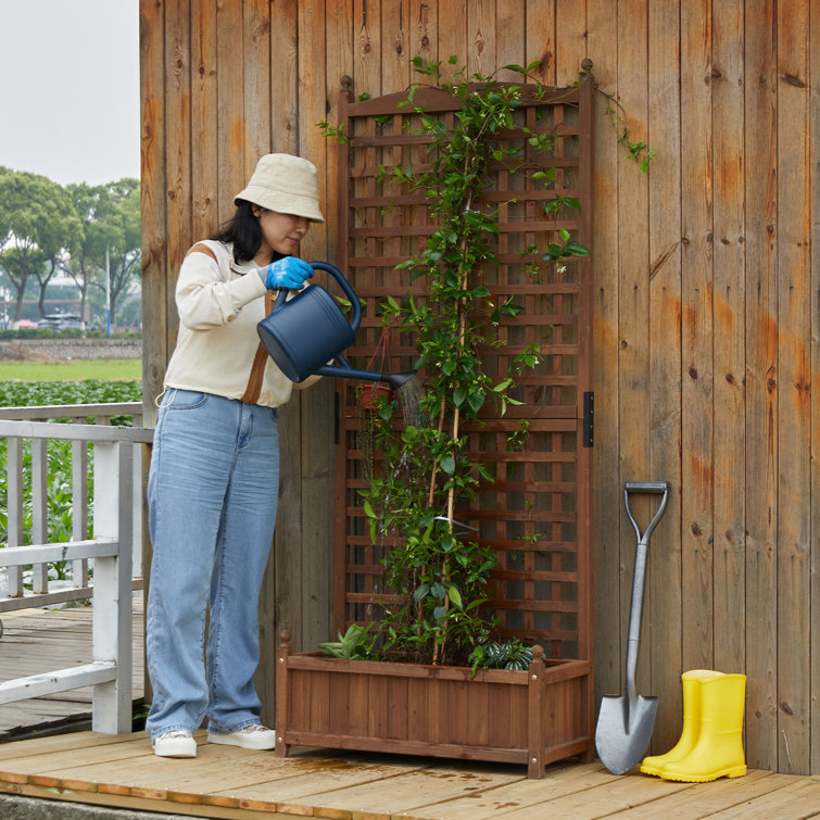 Mobile Vegetable Planter with Trellis