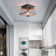 Demetrious 1-Light 25cm Flush Mount