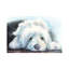 Old English Sheepdog Puppy by George Dyachenko - Wrapped Canvas Print-1244412299
