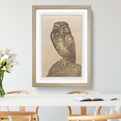 Little Owl by Theo Van Hoytema - Picture Frame Painting