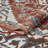 Raaya Damask Indoor Rug-1519057493