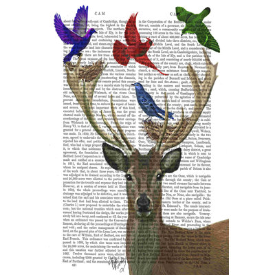Nids de cerfs et d'oiseaux