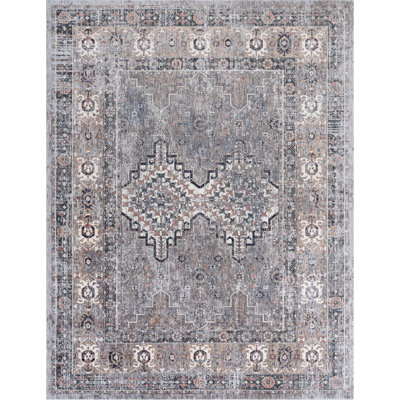 3 Oriental Area Rug in Gray