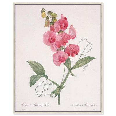 Toile Latifolus par Art Remedy