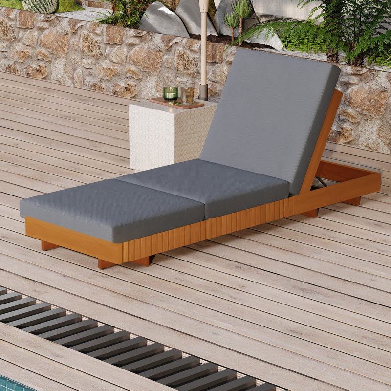 Ensemble de chaise longue en bois d'acacia massif avec coussin de salon, Gris foncé