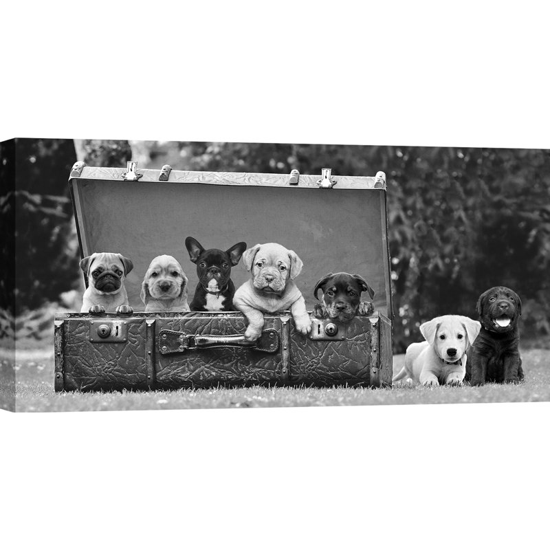 2AP6149 Puppies In The Suitcase - Wrapped Canvas Print, 50cm H x 100cm W x 4cm D
