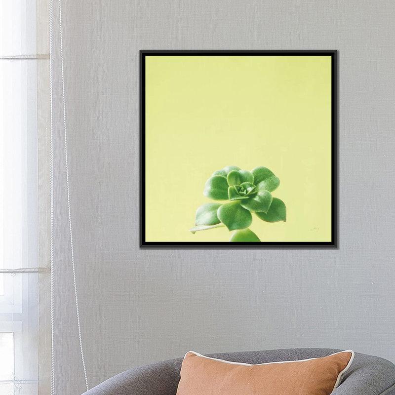 «Succulent Simplicity VII», impression sur toile, H 26 po x l 26 po x P 1,5 po, Toile encadrée noire, Pas de tapis