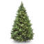 Carolina Flocked/Frosted Christmas Tree-1638101848