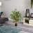 Faux Bamboo Tree in Pot-2131120987