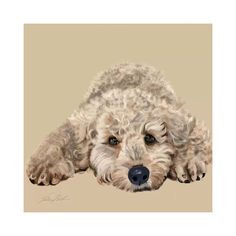 Labradoodle 1 Piece Wrapped Canvas Wall Art, 30.48 cm H x 30.48 cm W x 1.91 cm D
