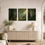 «Sunlit Forest with Ferns and Moss», ensemble de 3 toiles murales-1414811459