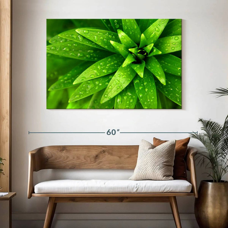 Gouttelettes Harnek sur feuilles vertes