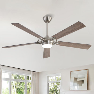 60 po Ventilateur de plafond intérieur avec ensemble d'éclairage et télécommande