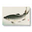 Carp Fish by Kono Bairei - Wrapped Canvas-55311533