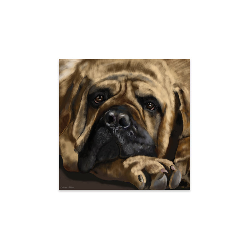 Mastiff imprimé sur verre acrylique, H 24 po x l 24 po x P 0,25 po