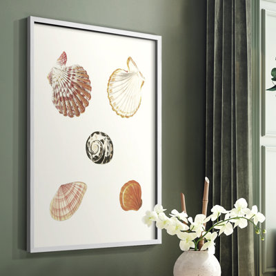 Pastel Knorr Shells VIII Framed Print - Solid Wood