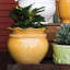 Rustic Garden Handmade Planter-64858507