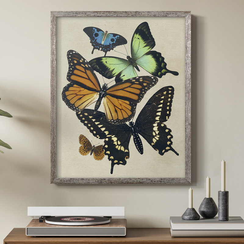 Collaged Butterflies I Framed Print - Solid Wood, 15" H x 12" W