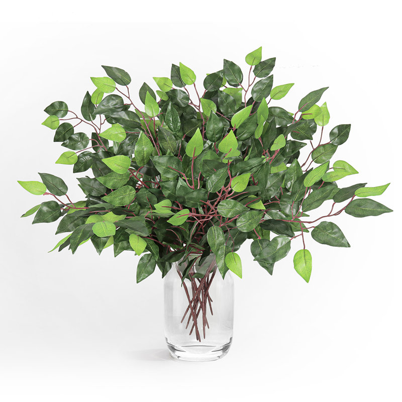 Ficus artificiel, brume, feuillage, verdure