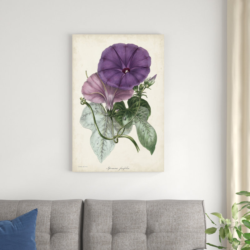 Plum Morning Glory, H 36 po x l 24 po x P 1,25 po