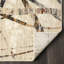 Southwestern Area Rug in Beige-2019648407