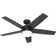 Hunter 52 inch Damp Rated Ceiling Fan with LED Light Kit and Handheld Remote