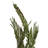 Twisted Coco Palm Stems, Dried 40-48" Twisted Coco Palm Stems, Dried-850808805