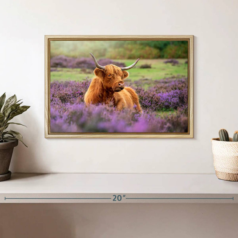 Highland Cow Paradise, Cadre flottant en bois naturel, 13 po x 9 po