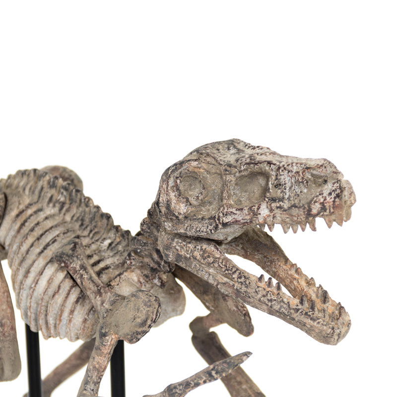 Dinosaur Skeleton Handmade Modern Landscape & Nature Wall Decor on Resin
