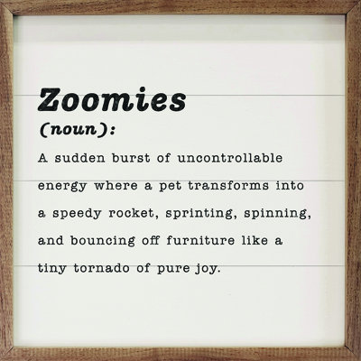 Zoomies Définition