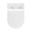 Cuvette de toilette allongée Cascade Back-to-Wall