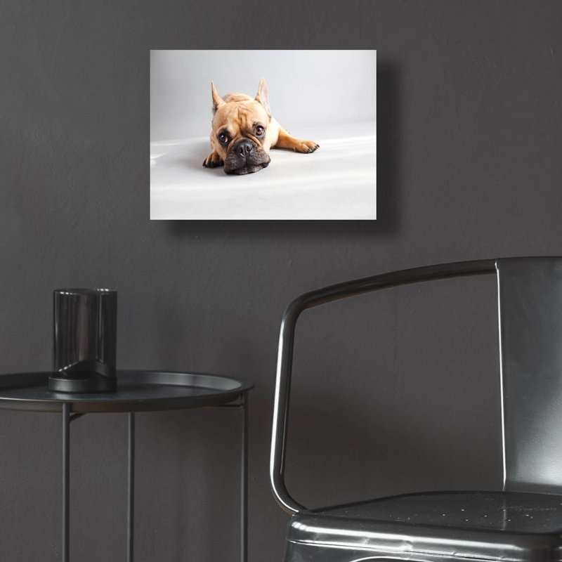 «Sad Frenchie» par Susan Sabo, H 12 po x l 16 po x P 0,13 po