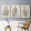 «Sepia Exotic Plants I», ensemble de 3 peintures sur toile encadrées-2017768722-2017768733