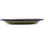 Stoneware Dinner Plate