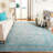 Alisa Performance Oriental Rug-33392319