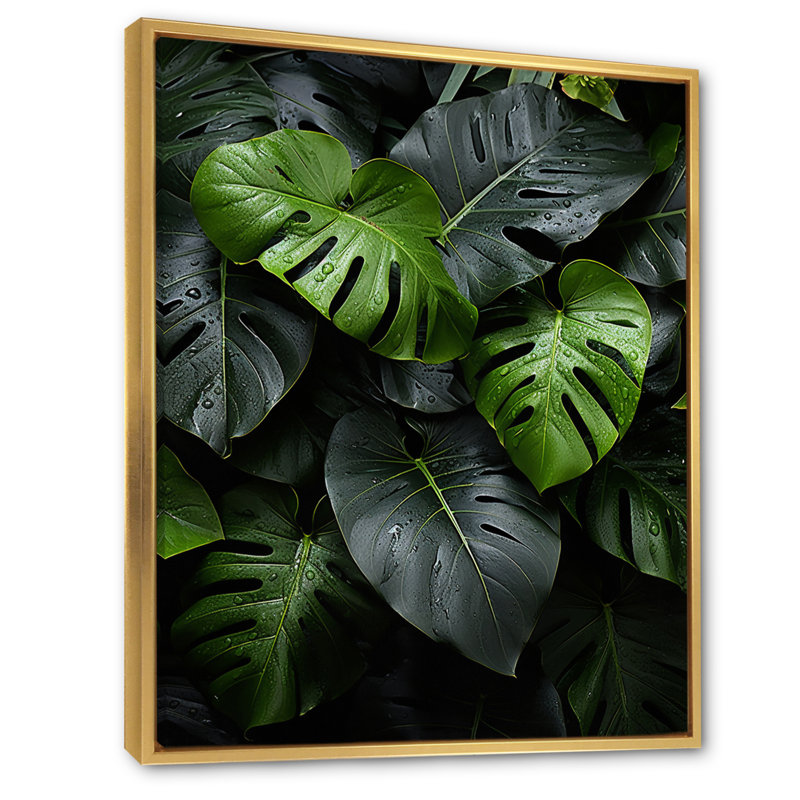 Dominicain, feuillage tropical II - impression, H 32 po x l 24 po x P 1 po, Cadre flottant doré