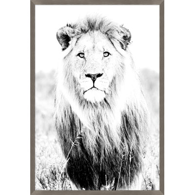 Wild Calling 1 par Thom Filicia - Photographie encadrée sur papier