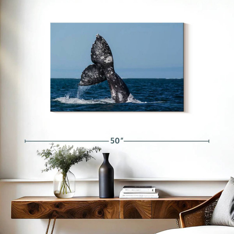 Brampt Gray Whale Tail