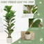 119.99 cm H Faux Fiddle Leaf Fig Tree Plant in Plastic and Cement