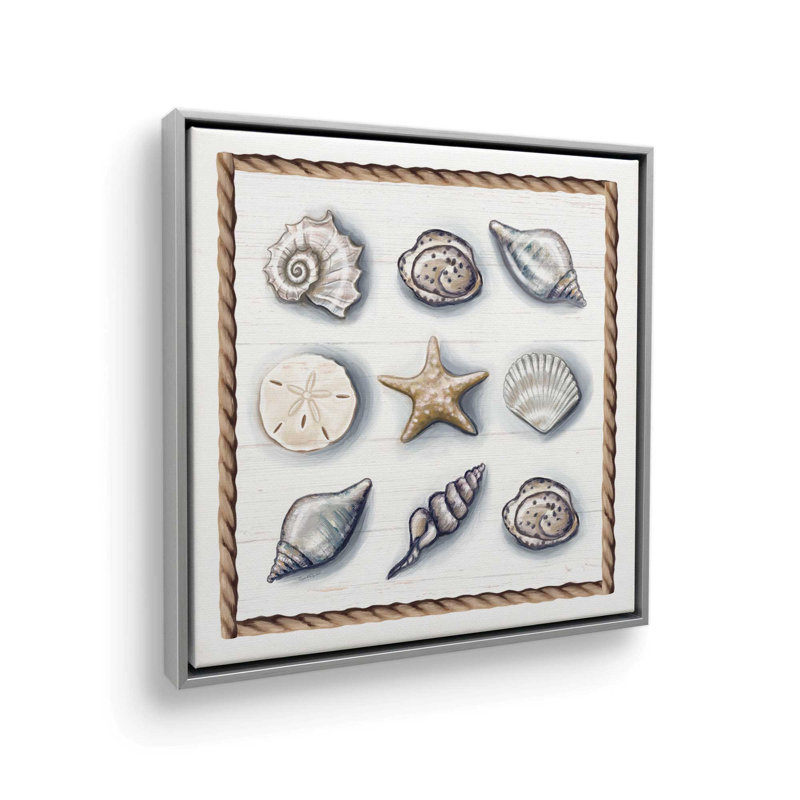 «Beach Shells I» par Elizabeth Tyndall, reproduction d'art, H 21,5 po x l 21,5 po, Argent, Toile avec cadre