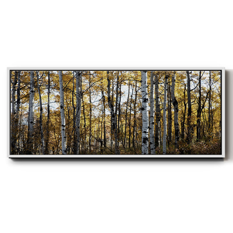 Sunny Grove- Framed Canvas, 20" H x 50" W